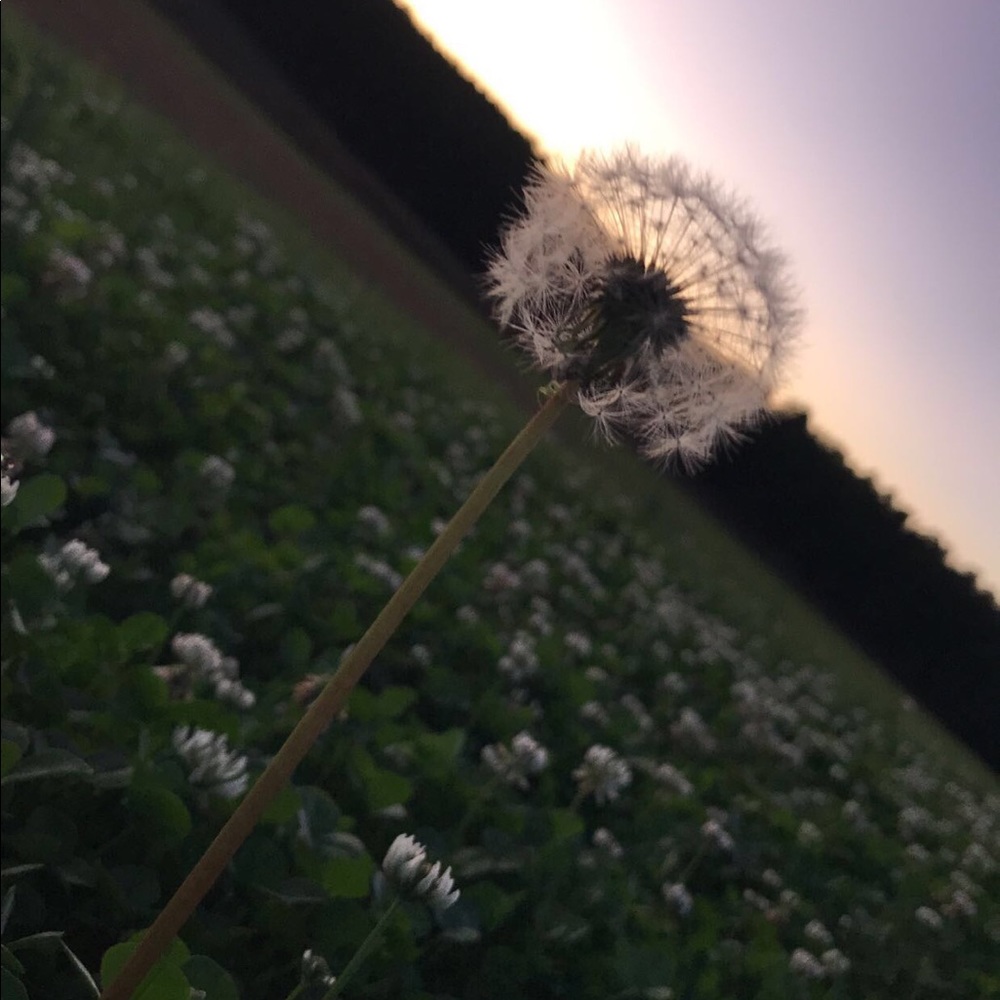 Meet your Posher, Lindsey